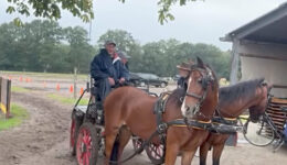 Paarden4Daagse Zorgvlied (foto: Geert Meekhof)