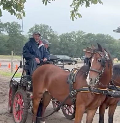 Paarden4Daagse Zorgvlied (foto: Geert Meekhof)