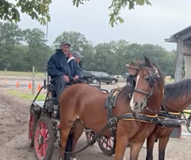 Paarden4Daagse Zorgvlied (foto: Geert Meekhof)