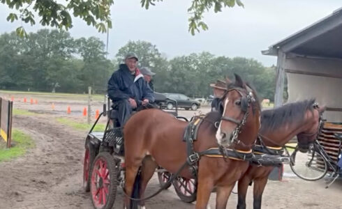 Paarden4Daagse Zorgvlied (foto: Geert Meekhof)