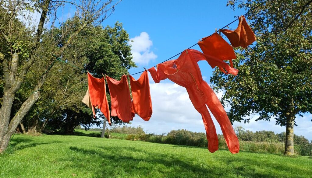 Orange the world Beeld Soroptimisten