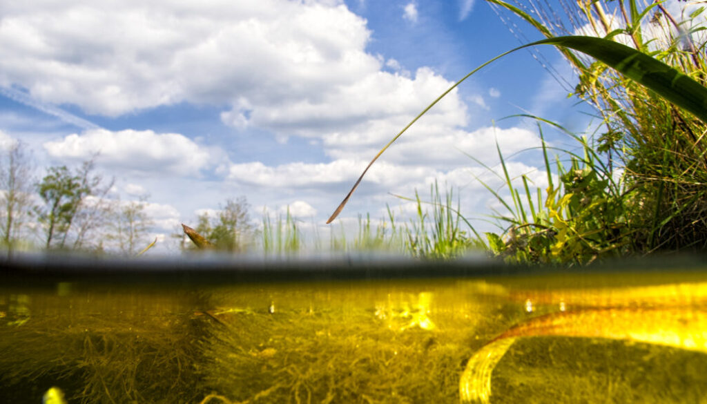 Deels onder water (foto aangeleverd)