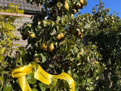 Het Gele Lint groeit in Steenwijkerland (foto aangeleverd)