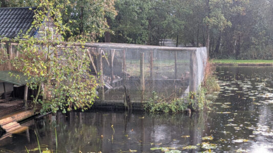 Eendenverblijf in de Kooi van Pen (foto: De Werven).