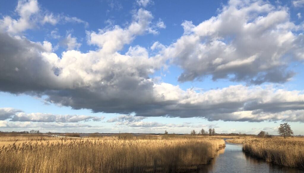 Rietlandschap (foto Ronald Messemaker)
