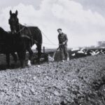 OA39 zwartwit Sil.12.1.9b (foto aangeleverd)