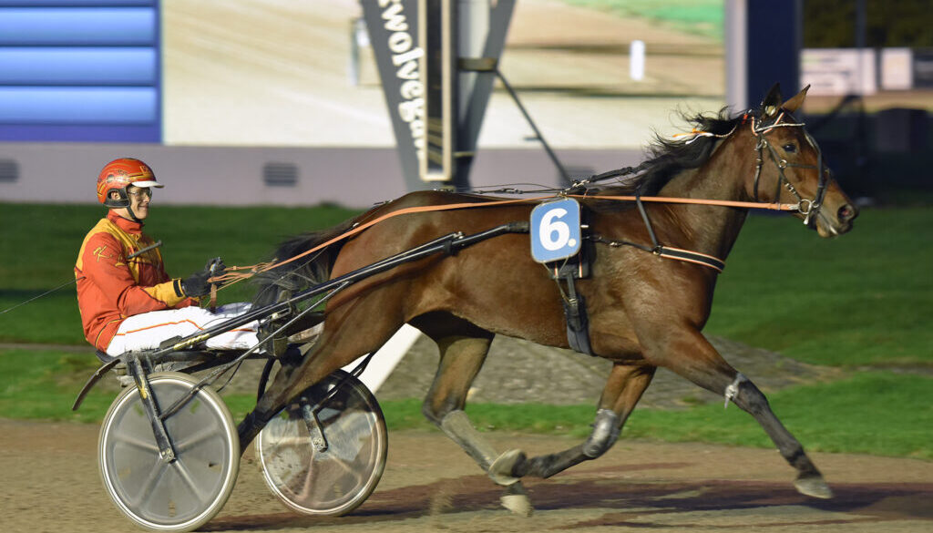 De winnende combinatie: Kevin van der Linden en Shikara Boko (foto: Lenus van der Broek).