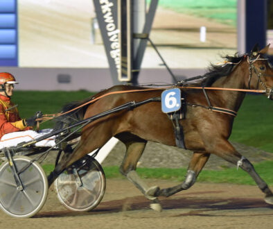 De winnende combinatie: Kevin van der Linden en Shikara Boko (foto: Lenus van der Broek).