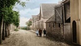 Stadsboerderijen in Vollenhove (foto aangeleverd)