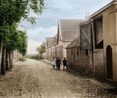Stadsboerderijen in Vollenhove (foto aangeleverd)